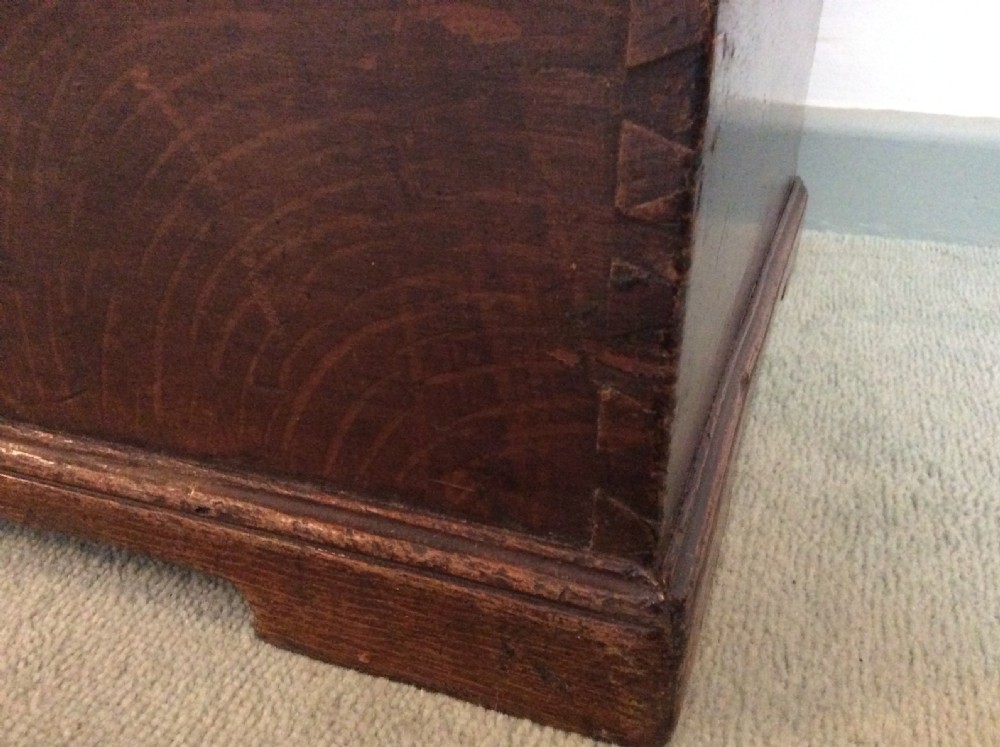 A Georgian elm and oak trunk View V