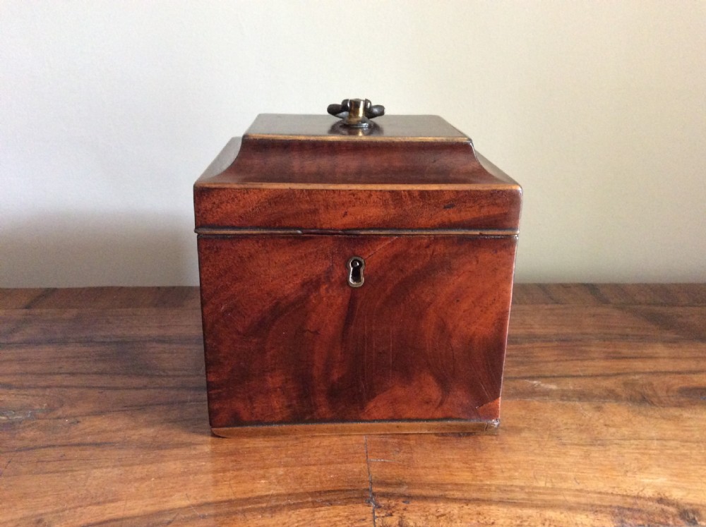 A Georgian Chippendale style single caddy