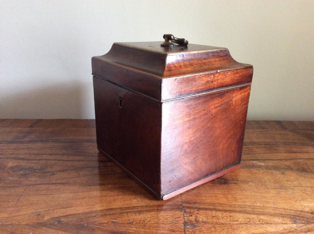 A Georgian Chippendale style single caddy View II
