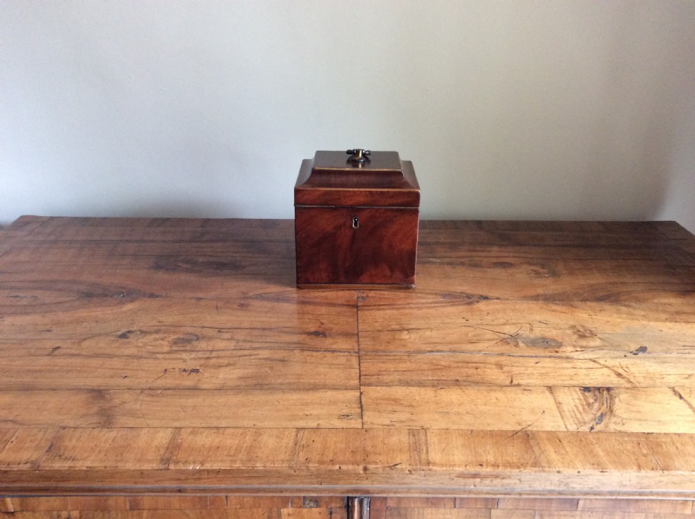 A Georgian Chippendale style single caddy View IX