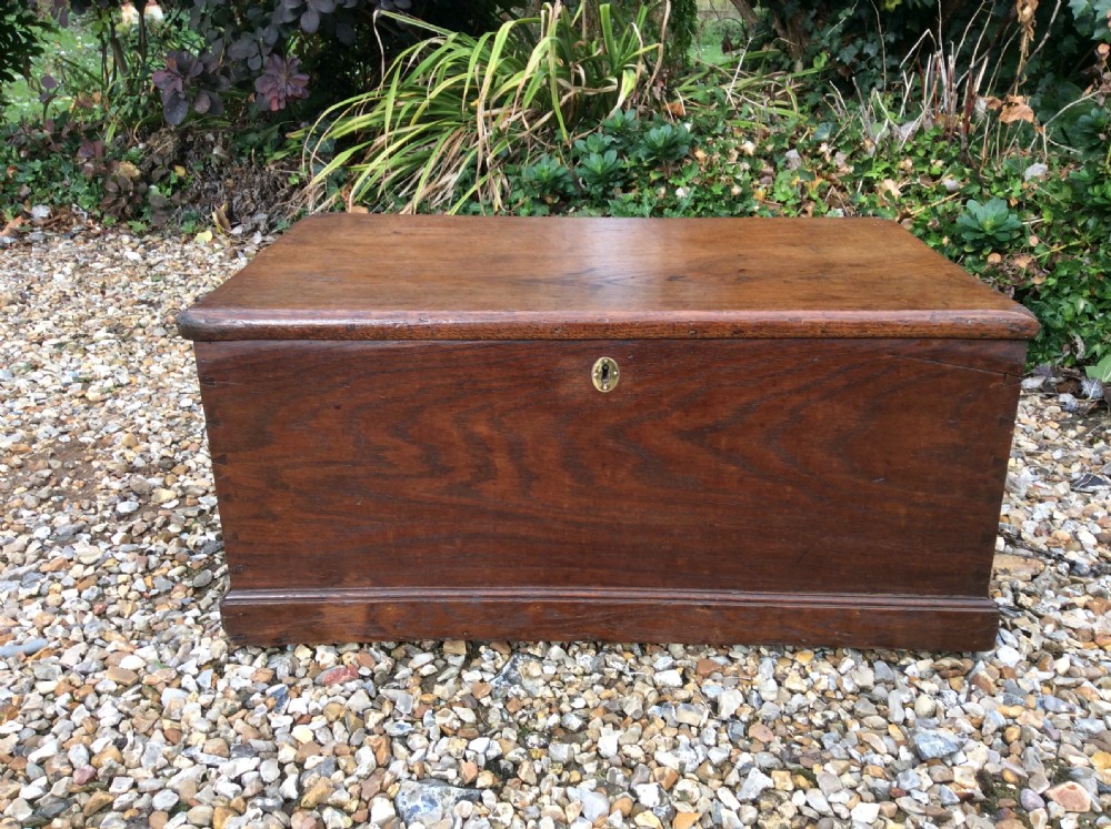 A 19thC oak and elm trunk View II