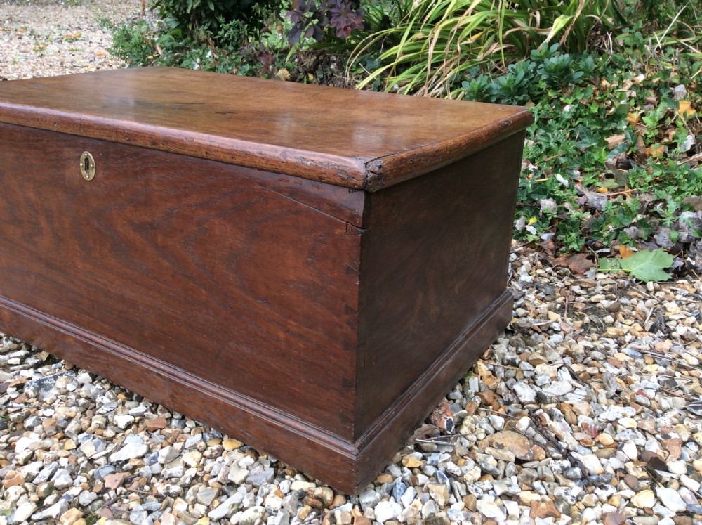 A 19thC oak and elm trunk View III