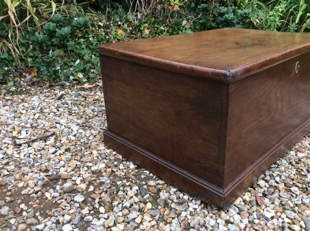 A 19thC oak and elm trunk View IV