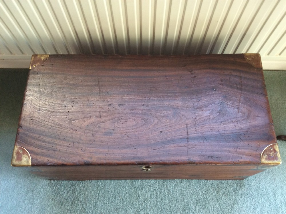 A 19thC Camphor wood campaign trunk View V
