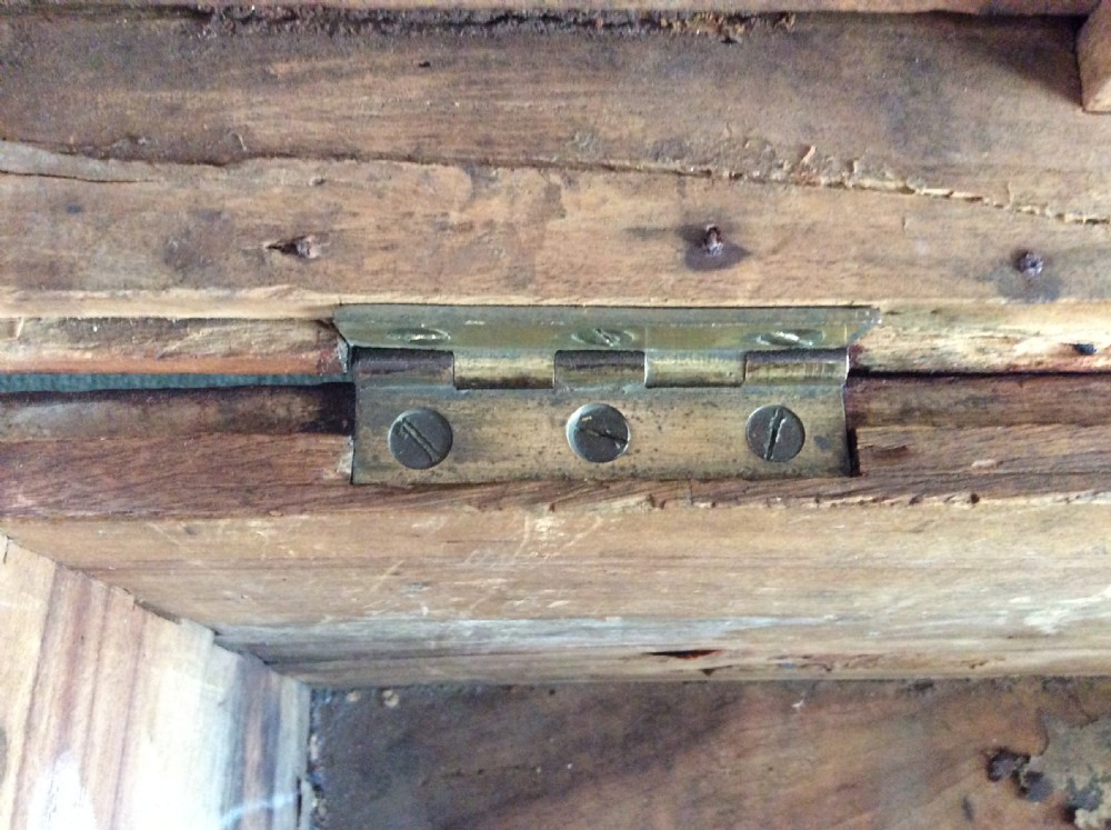 A 19thC Camphor wood campaign trunk View VII