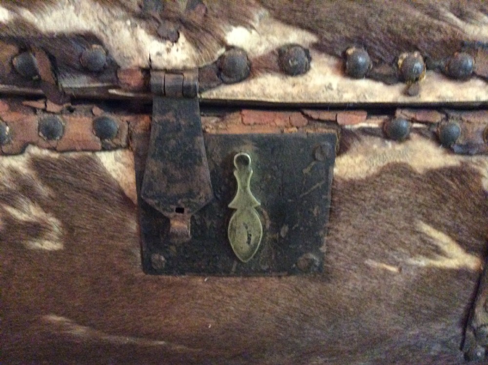 A very original 18thC deer skin trunk View II