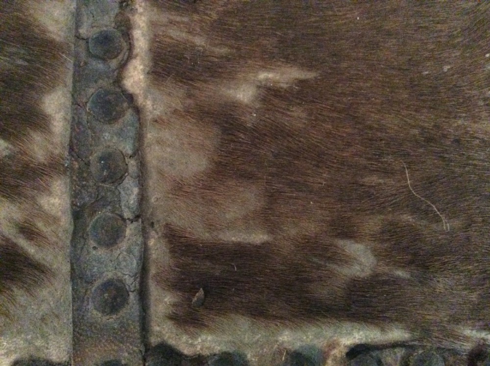 A very original 18thC deer skin trunk View VIII