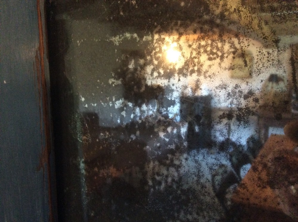 A 19thC French rustic wall mirror View IV
