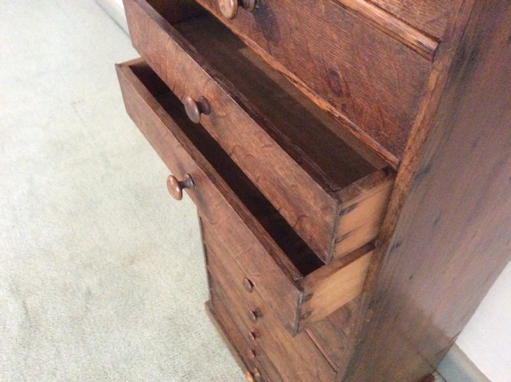 A French 12 drawer slim collectors chest View VI