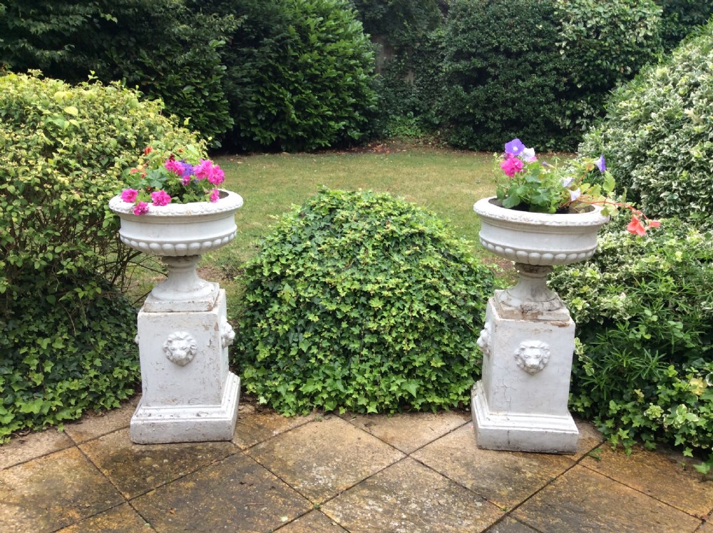 A pair of white painted 19th-century cast iron garden urns featuring gadrooned basins set upon square pedestals with lion head relief motifs.