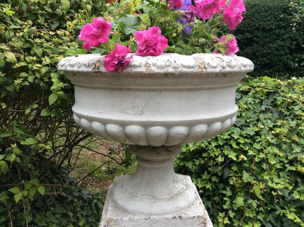 A pair of white painted 19th-century cast iron garden urns featuring gadrooned basins set upon square pedestals with lion head relief motifs. View II