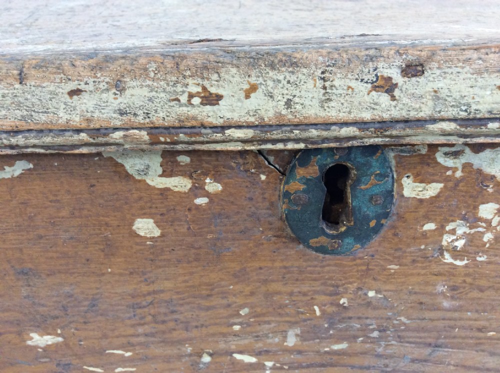 A Georgian painted elm trunk View III
