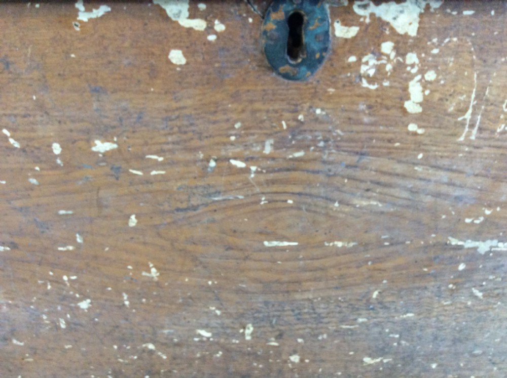 A Georgian painted elm trunk View IV