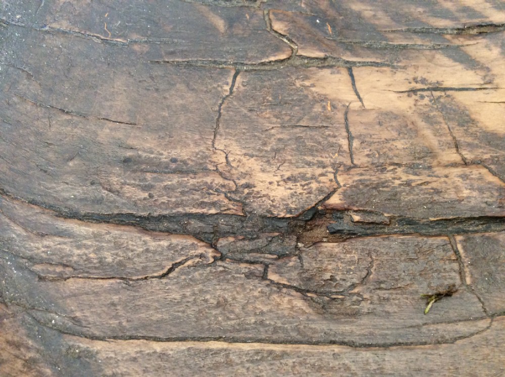 A large antique sycamore dairy bowl View VIII