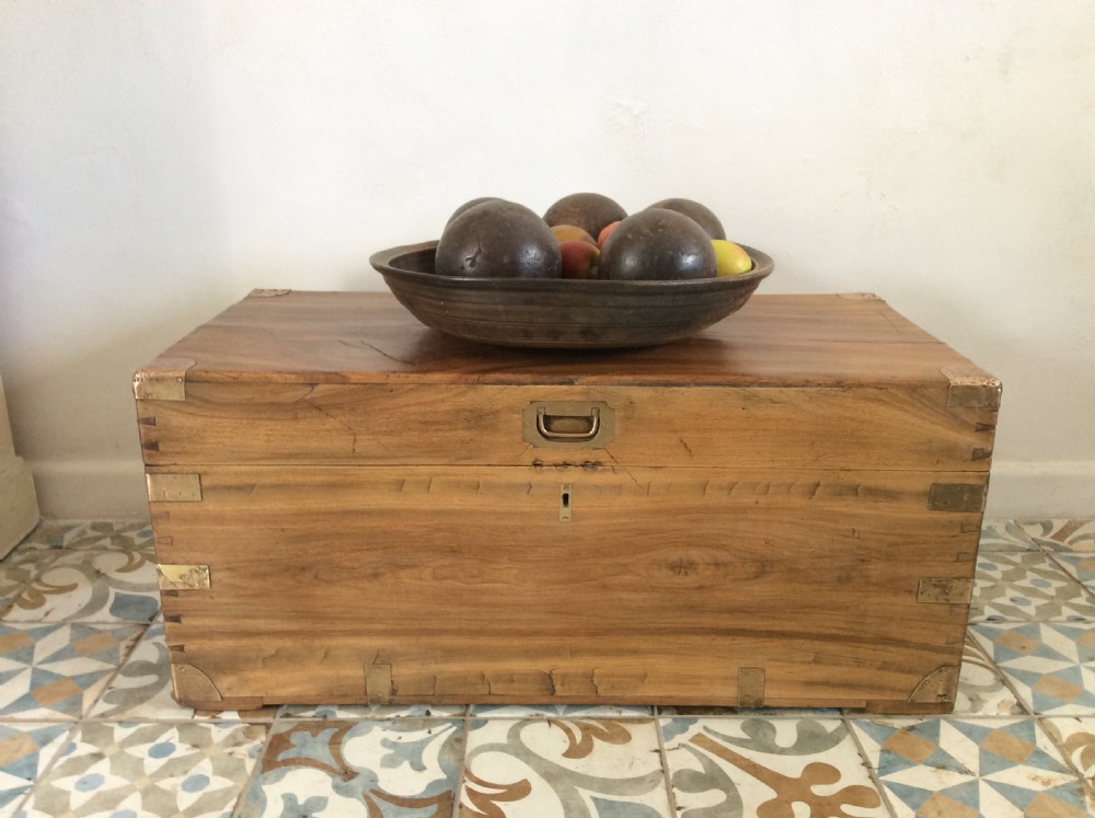 A camphor wood military campaign trunk View II