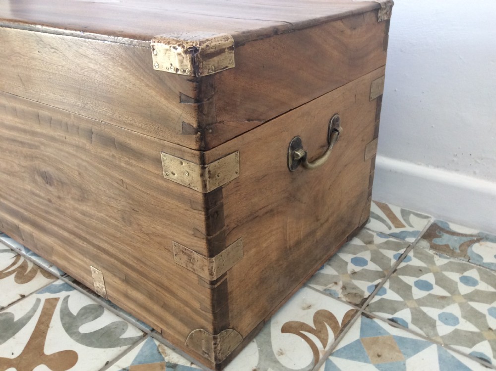 A camphor wood military campaign trunk View IV