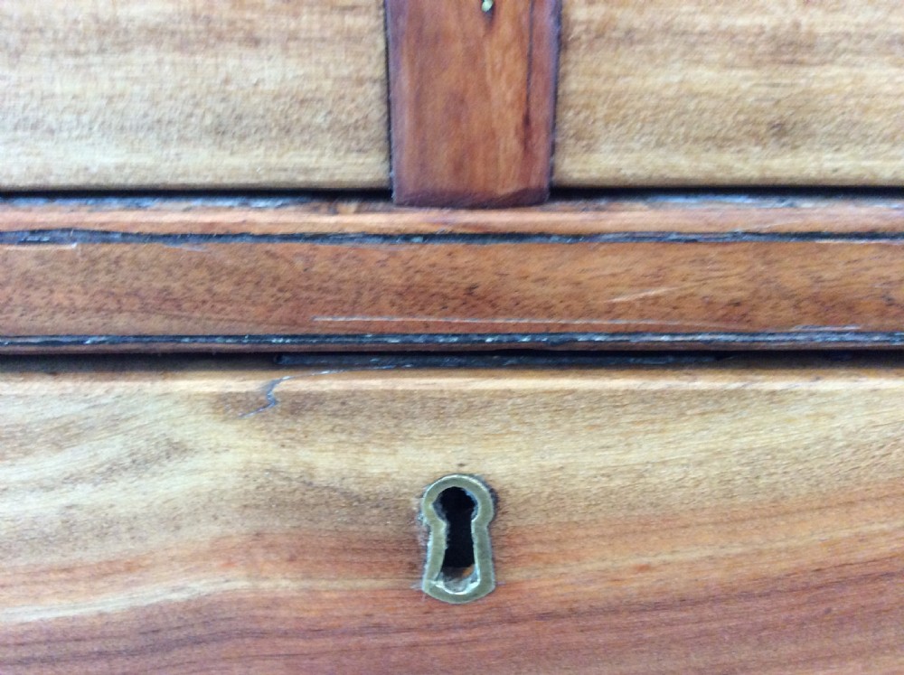 A 19thC camphor wood campaign chest View VI