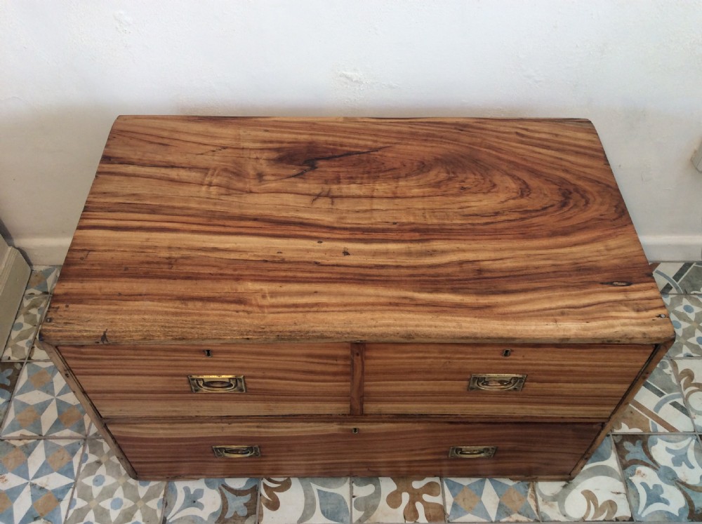 A 19thC camphor wood campaign chest View VII
