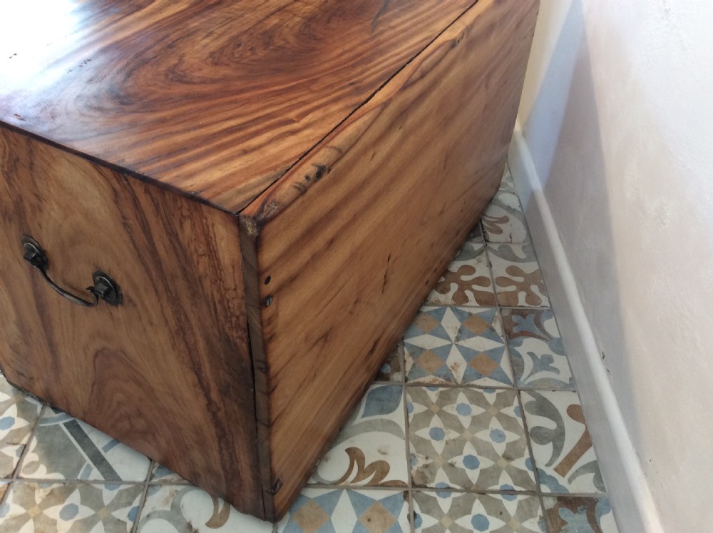 A 19thC camphor wood campaign chest View IX