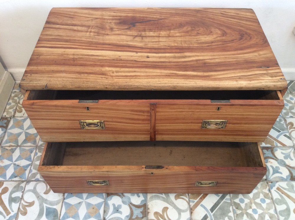 A 19thC camphor wood campaign chest View X