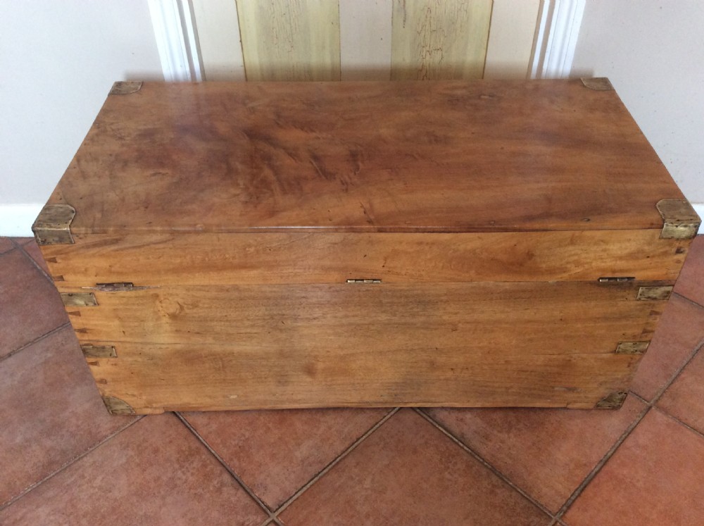 A camphor campaign trunk View XI
