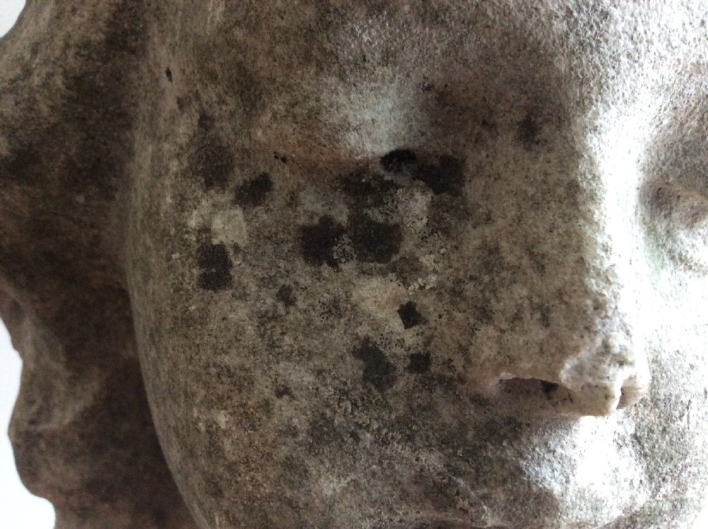 An antique marble bust View IV