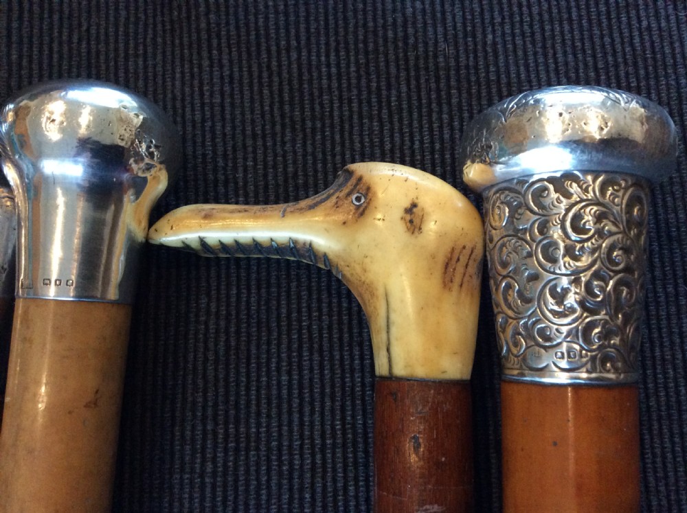 A collection of 10 walking sticks and canes View V