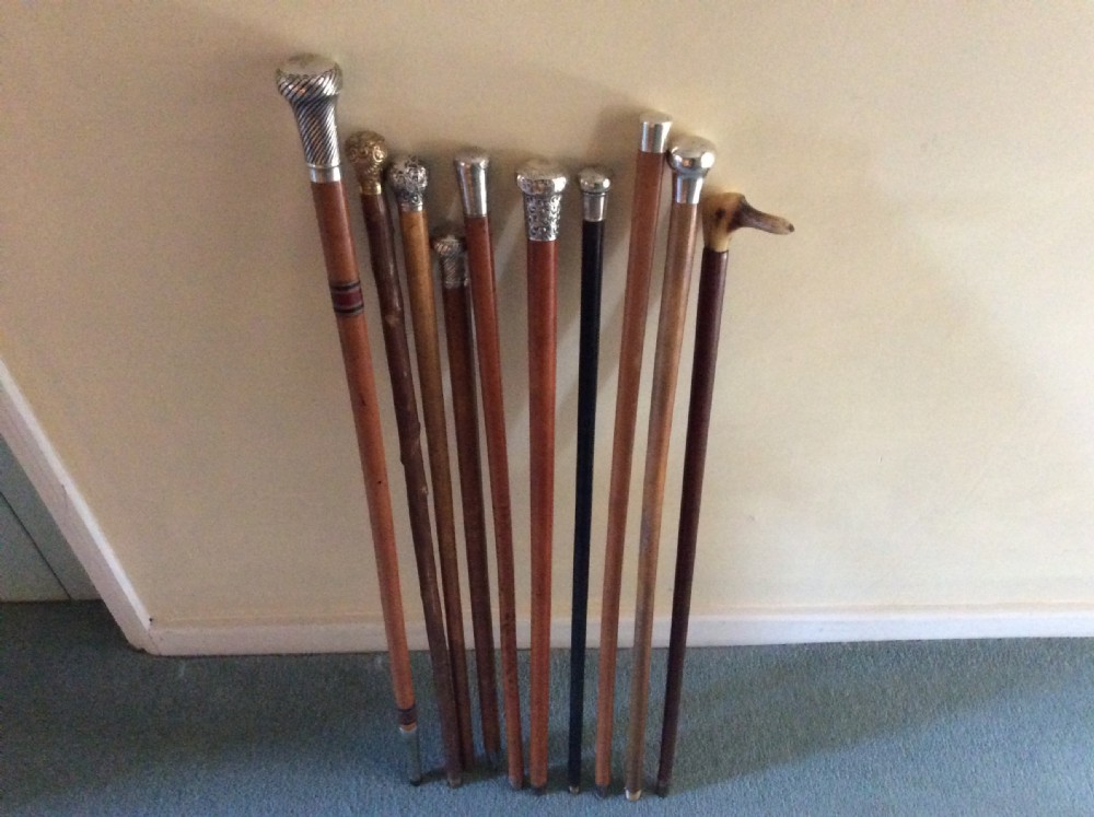 A collection of 10 walking sticks and canes View X