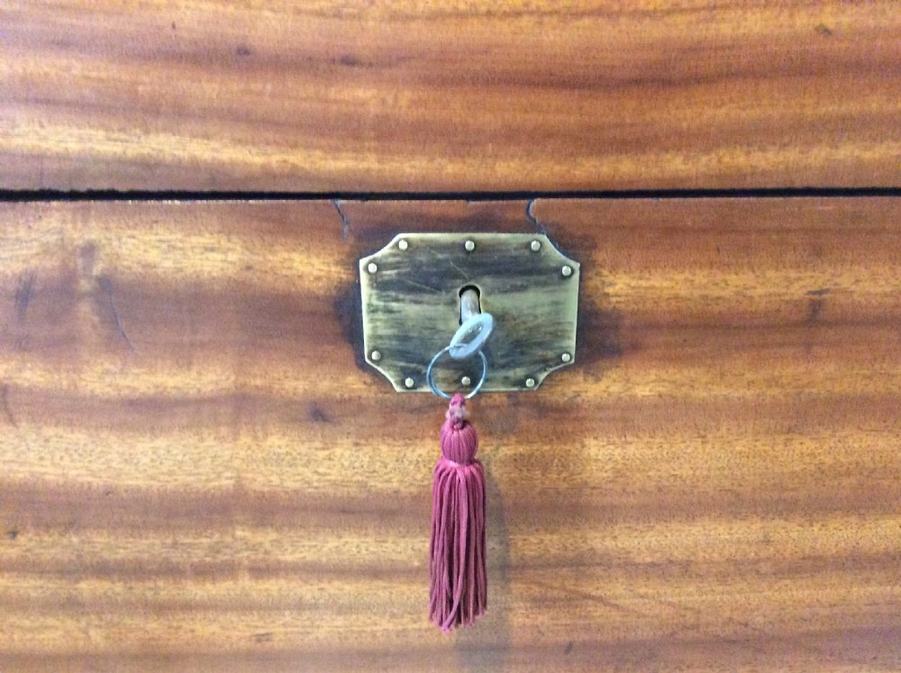 A 19thC Camphor campaign trunk View IV