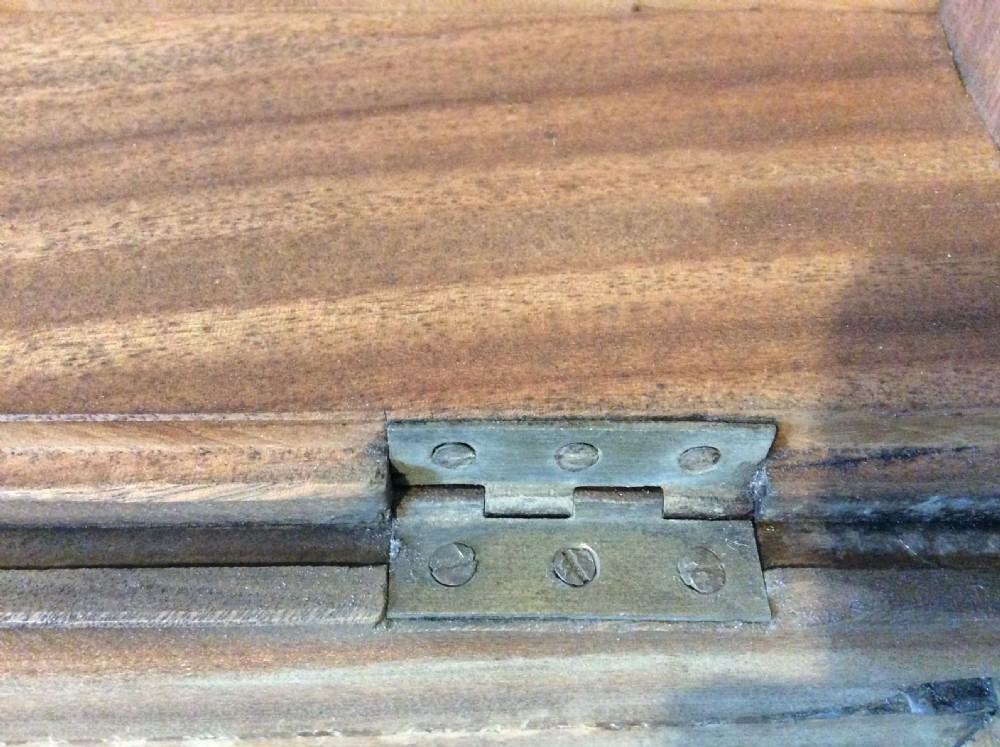 A 19thC Camphor campaign trunk View XVI