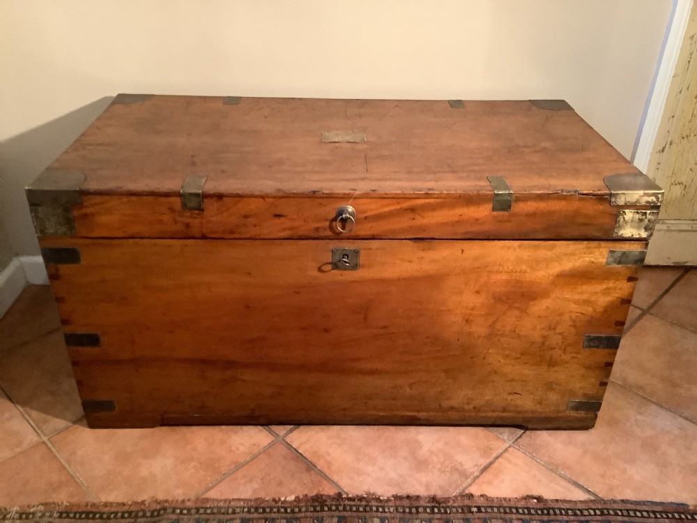A rectangular warm brown camphor wood campaign trunk featuring corner brass brackets, flush brass straps, and a central brass ring handle.