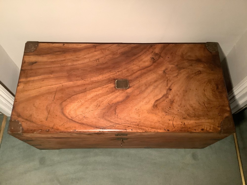 A mid sized camphor campaign trunk View IV