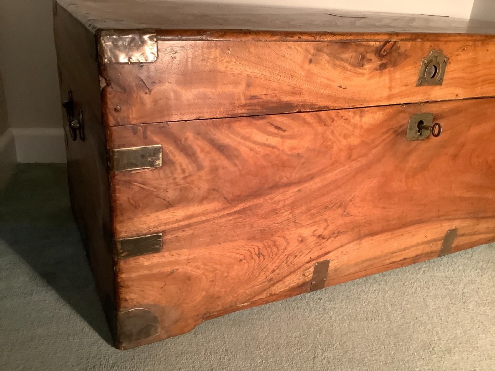 A mid sized camphor campaign trunk View V