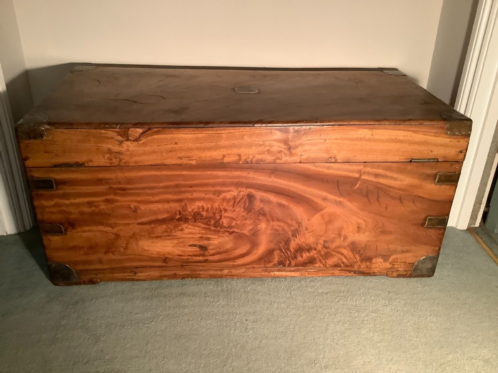 A mid sized camphor campaign trunk View VII