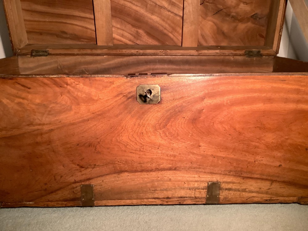 A mid sized camphor campaign trunk View XI
