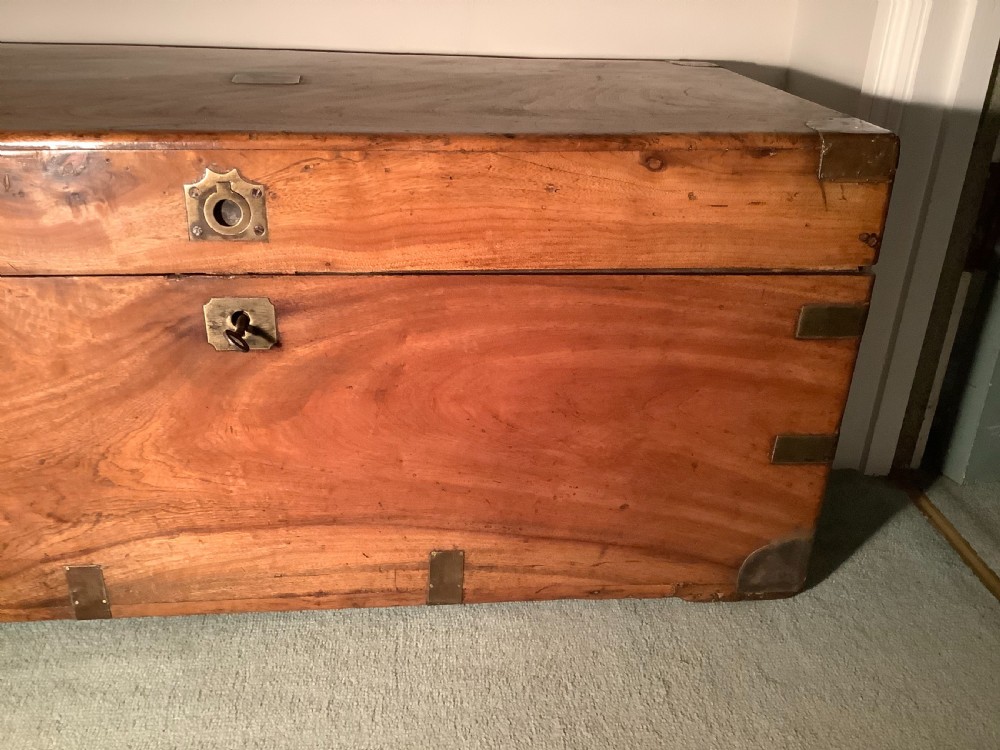 A mid sized camphor campaign trunk View XIII