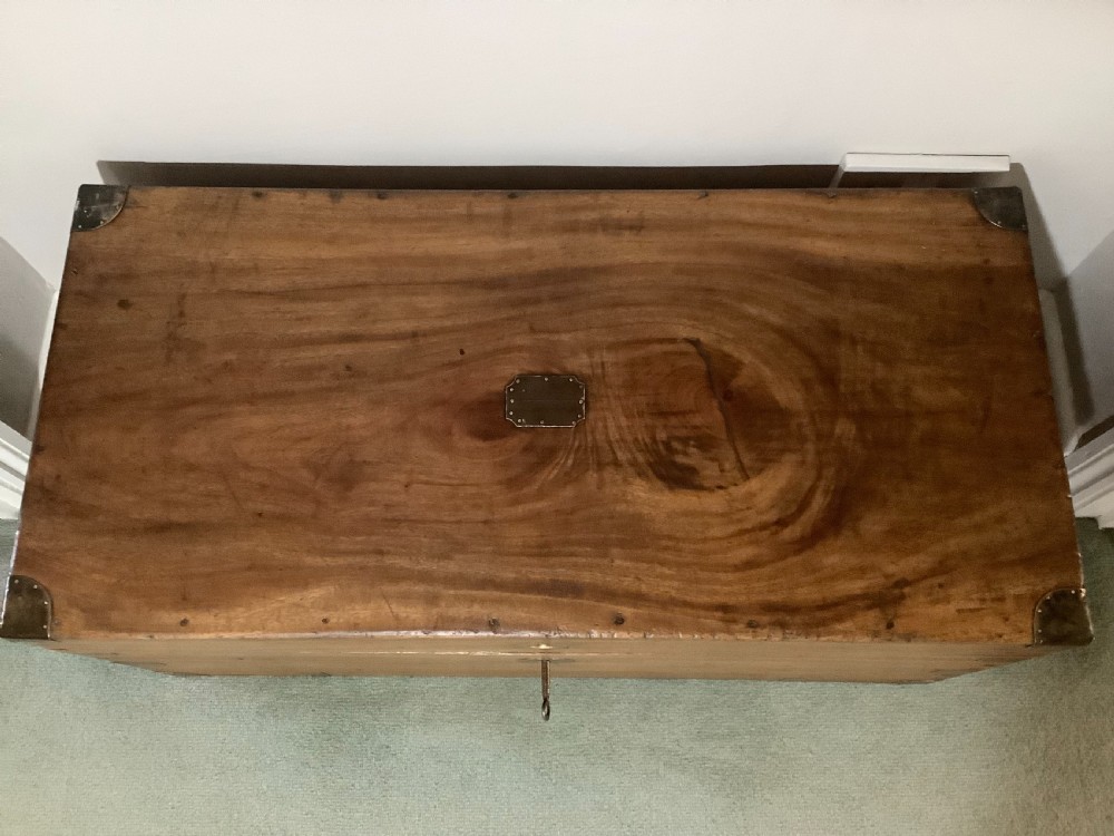 A rectangular camphor wood campaign trunk featuring flush brass corner brackets, central brass escutcheon, side carrying handles, and visible dovetail joinery. View VIII