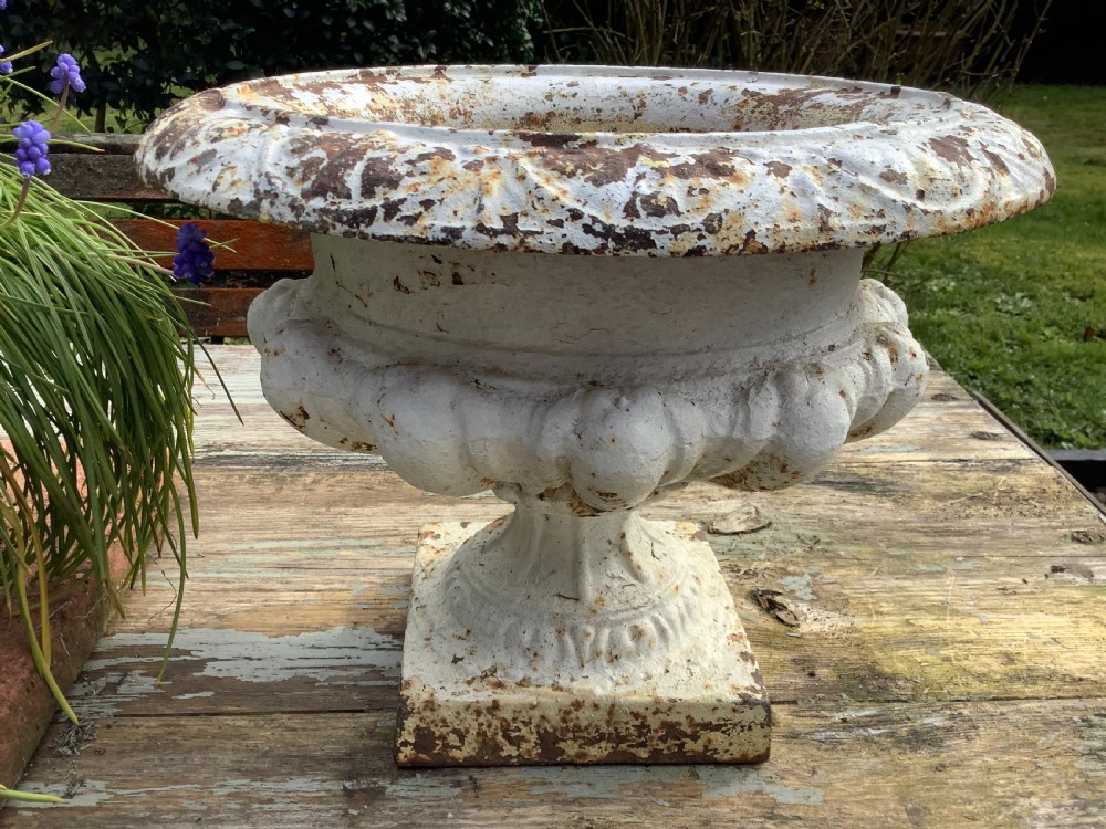 A pair of weathered off-white cast iron table urns featuring classical gadrooned decoration and square pedestal bases. View V