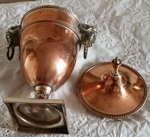 ANTIQUE ENGLISH GEORGIAN OLD SHEFFIELD PLATE MINIATURE CHESTNUT URN - ADDITIONAL PHOTO 4