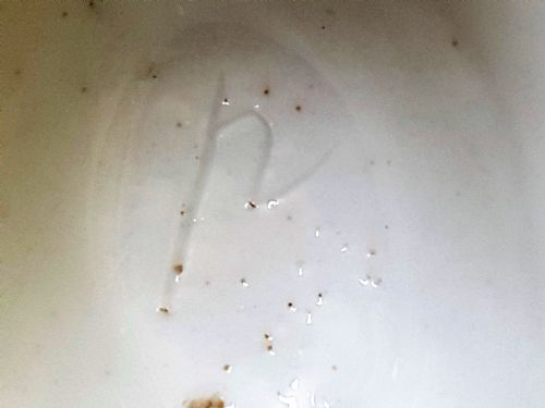 ANTIQUE ENGLISH GEORGIAN PORCELAIN VASE - ADDITIONAL PHOTO 6
