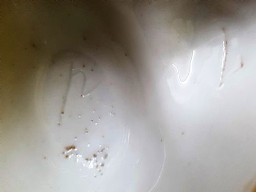 ANTIQUE ENGLISH GEORGIAN PORCELAIN VASE - ADDITIONAL PHOTO 7
