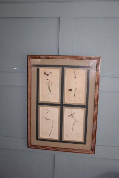 19TH CENTURY SET OF 4 ENGRAVINGS BOTANICALS WITH INSECTS AND PLANTS BY JOHN CURTIS - ADDITIONAL PHOTO 2