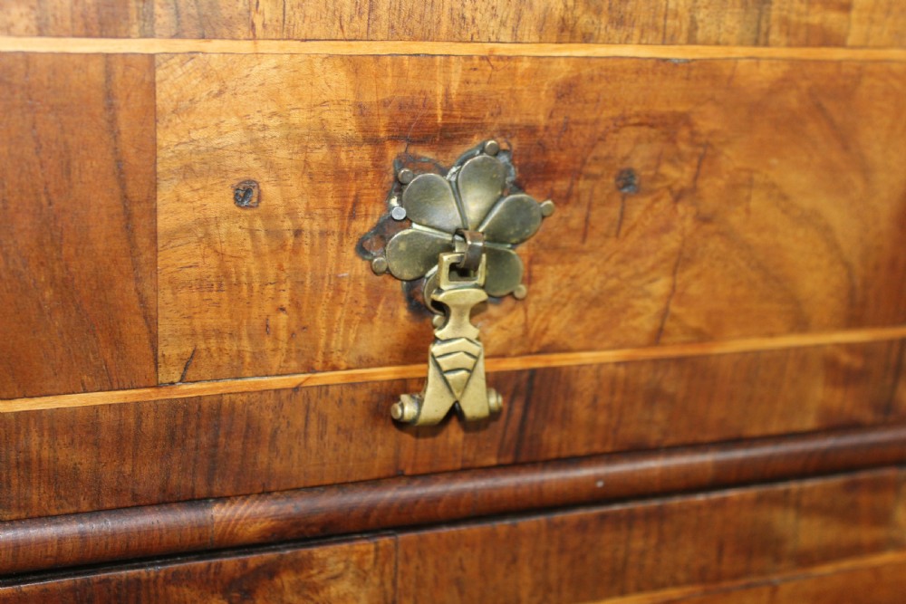 Early 18th century Burr Walnut Chest of Drawers View VIII