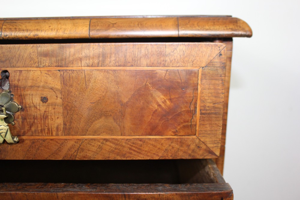 Early 18th century Burr Walnut Chest of Drawers View X