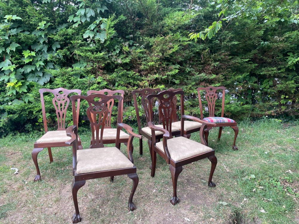 A set of dark mahogany Chippendale style dining chairs featuring carved pierced splats, cabriole legs with claw and ball feet, and neutral drop-in seat cushions. View IX