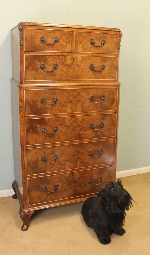 Quality Tall Burr Walnut Chest of Drawers