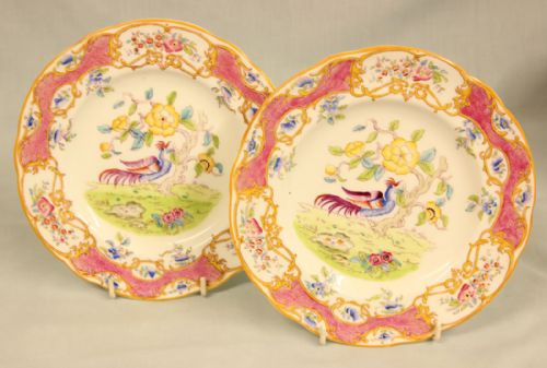Antique Pair of Coalport Plates