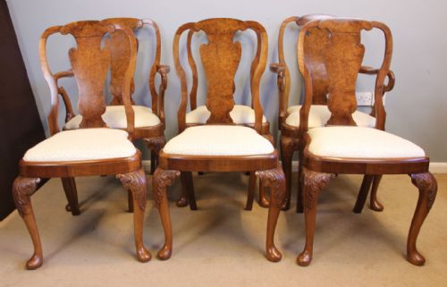 fig 1. Set Six Burr Walnut Queen Anne Style Dining Chairs
