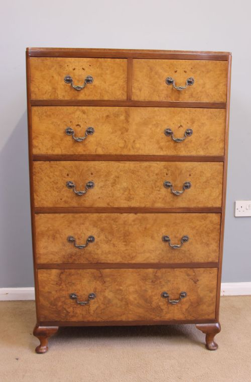 Antique Burr Walnut Tall Chest of Drawers.