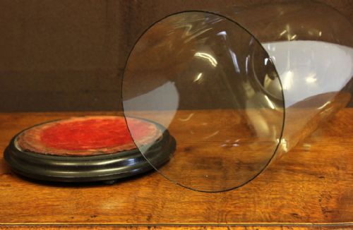 ANTIQUE TALL SHOWCASE DISPLAY GLASS DOME - ADDITIONAL PHOTO 3
